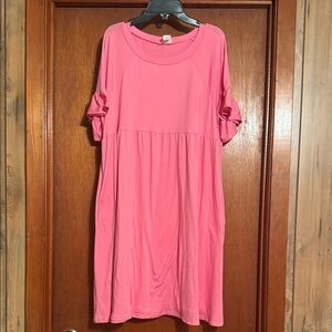Boutique Pink Ruffle Sleeve Dress